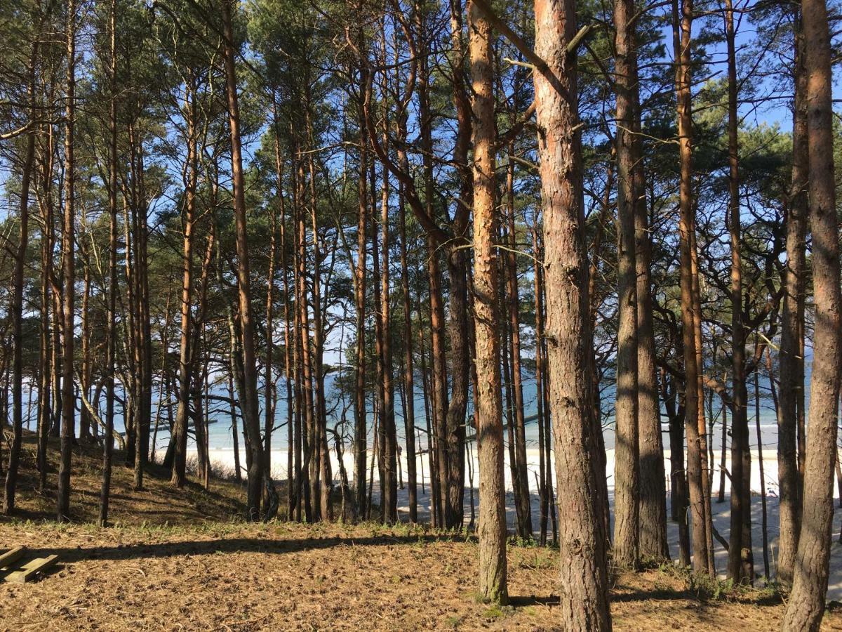 Apartamenty I Pokoje Magnolia Dźwirzyno Esterno foto